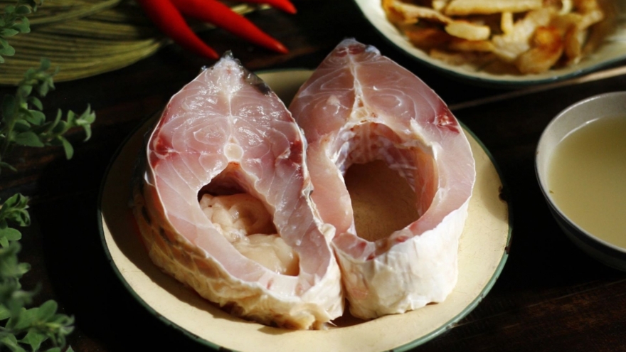 Việt Nam có loại cá thịt dày, ngọt béo lại “siêu dinh dưỡng” chẳng kém nhân sâm